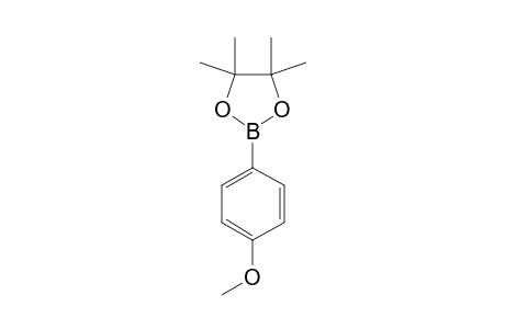 (4,4,5,5-TETRAMETHYL-1,3,2-DIOXABOROLAN-2-YL)-ANISOLE