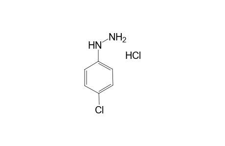 4-Chlorophenylhydrazine hydrochloride