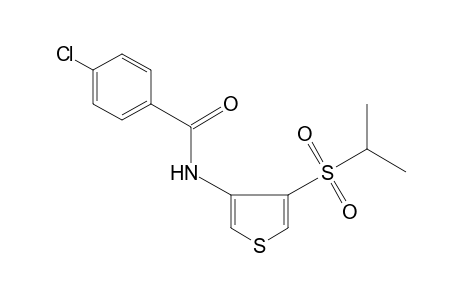 p-chloro-N-[4-(isopropylsulfonyl)-3-thienyl]benzamide