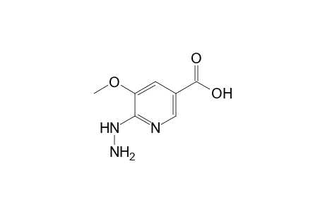 6-Hydrazinyl-5-methoxynicotinic acid