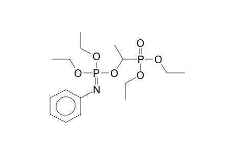 DIETHYL ALPHA-(O,O-DIETHYLPHOSPHONO)ETHYL-N-PHENYLIMIDOPHOSPHATE