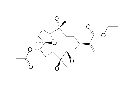 DENDRONPHOLIDE_L