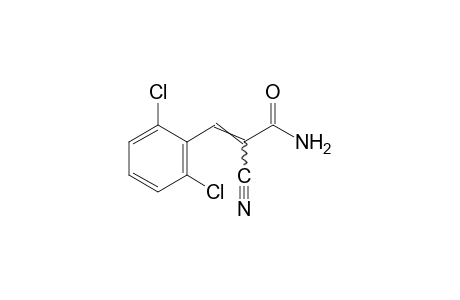 alpha-CYANO-2,6-DICHLOROCINNAMAMIDE