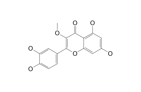 3-O-METHYL-QUERCETIN