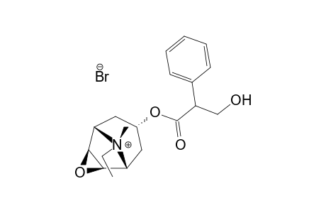 (8R)-6beta,7beta-EPOXY-8-ETHYL-3alpha-HYDROXY-1alphaH,5alphaH-TROPANIUM BROMIDE,(-)-TROPATE (ESTER)