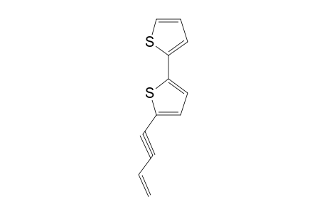 5-(3-BUTEN-1-YNYL)-2,2'-BITHIOPHENE