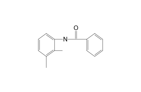 2',3'-benzoxylidide