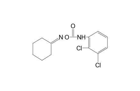 cyclohexanone, O-[(2,3-dichlorophenyl)carbamoyl]oxime