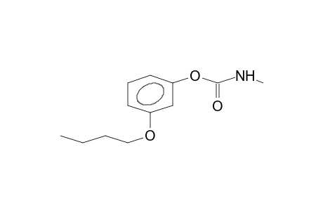 META-BUTOXYPHENYL-N-METHYLCARBAMATE