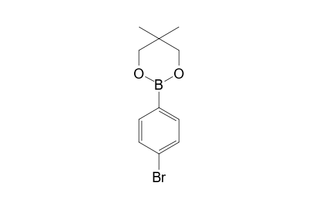 4-Bromobenzeneboronic acid neopentyl glycol ester