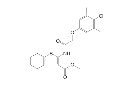 benzo[b]thiophene-3-carboxylic acid, 2-[[(4-chloro-3,5-dimethylphenoxy)acetyl]amino]-4,5,6,7-tetrahydro-, methyl ester