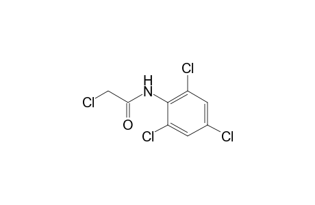 2,2',4',6'-tetrachloroacetanilide