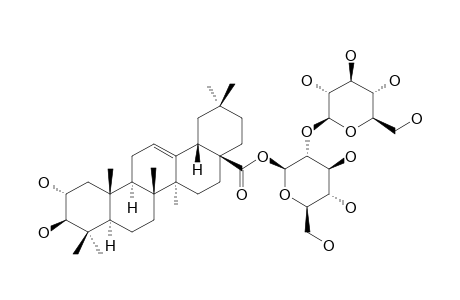 ASTERYUNNANOSIDE-D;2-ALPHA,3-BETA-DIHYDROXY-OLEAN-12-EN-28-OIC-ACID-28-O-BETA-D-GLUCOPYRANOSYL-(1->2)-BETA-D-GLUCOPYRANOSIDE