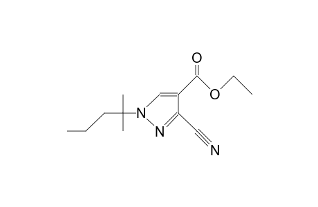 3-cyano-1-(1,1-dimethylbutyl)pyrazole-4-carboxylic acid ethyl ester