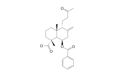 SCOPARIC-ACID-B;6-BENZOYL-14,15-DINOR-13-OXO-8(17)-LABDAN-18-OIC-ACID