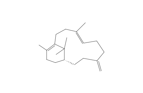 (1-R,7-E,11-Z)-(-)-VERTICILLA-4-(20),7,11-TRIENE