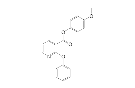 2-phenoxynicotinic acid, p-methoxyphenyl ester