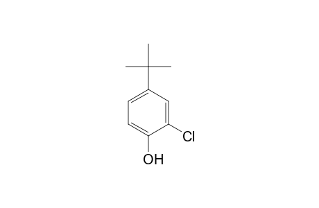 4-tert-Butyl-2-chlorophenol