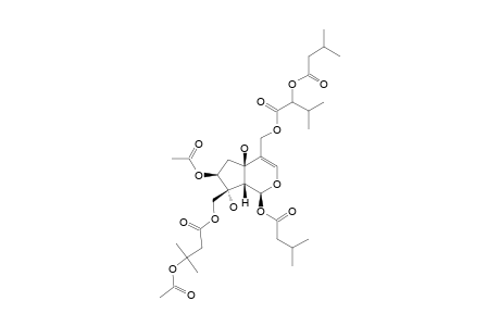 JATAMANVALTRATE-A