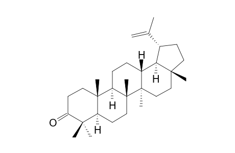 LUPENON