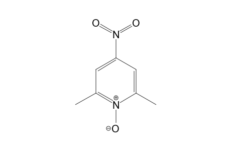 4-nitro-2,6-lutidine, 1-oxide