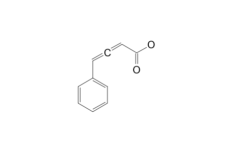 4-PHENYL-2,3-BUTADIEN-1-OIC-ACID