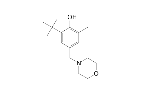 6-tert-BUTYL-alpha4-MORPHOLINO-2,4-XYLENOL