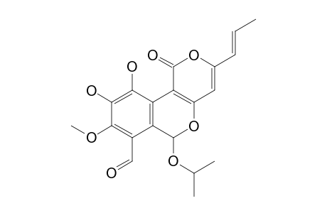 CYATHUSAL_3