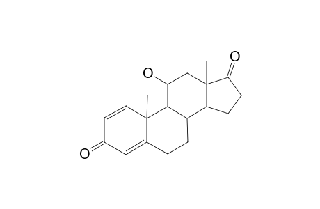 PREDNISOLONE-ARTIFACT