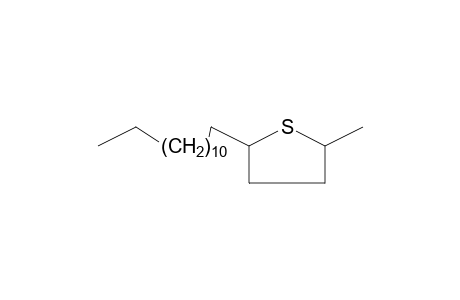 THIOPHENE, TETRAHYDRO-2-METHYL-5-TRIDECYL-