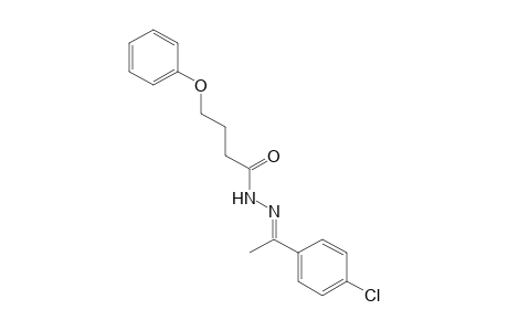 4-phenoxybutyric acid, (p-chloro-alpha-methylbenzylidene)hydrazide