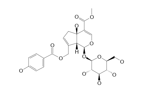 10-O-HYDROXYBENZOYLTHEVIRIDOSIDE