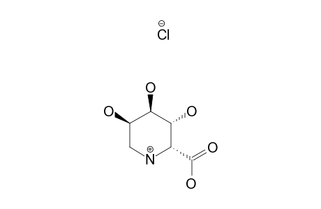 (2R,3R,4R,5R)-2-CARBOXY-3,4,5-TRIHYDROXY-PIPERIDINIUM-CHLORIDE;(2R,3R,4R,5R)-3,4,5-TRIHYDROXY-PIPECOLID-ACID-HYDROCHLORIDE-SALT