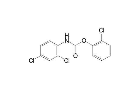 2,4-dichlorocarbanilic acid, o-chlorophenyl ester