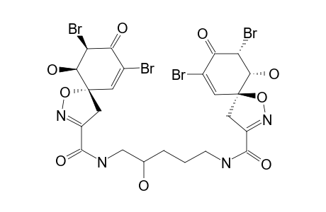 AGELOCAISSARINE-B2