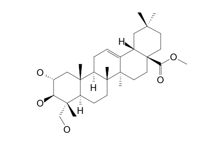 METHYL-ARJUNOLATE;METHYL-2-ALPHA,3-BETA,22-TRIHYDROXYOLEAN-12-EN-28-OATE