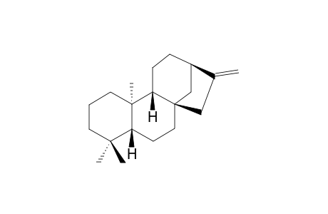 ent-kaurene