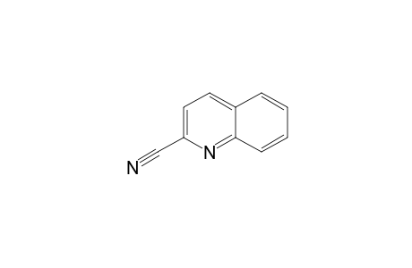 quinaldonitrile