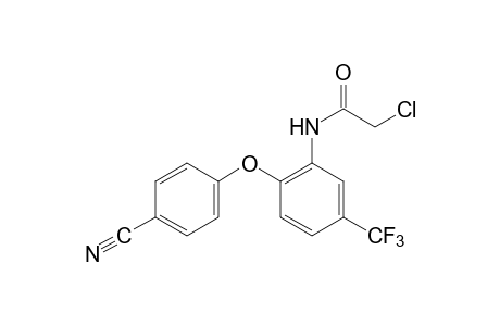 2-CHLORO-6'-(p-CYANOPHENOXY)-alpha,alpha,alpha-TRIFLUORO-m-ACETOTOLUIDIDE