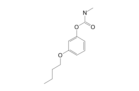 META-BUTOXYPHENYL-N-METHYLCARBAMATE