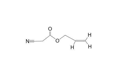 cyanoacetic acid, allyl ester