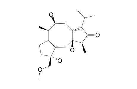 BRASSICICENE-G