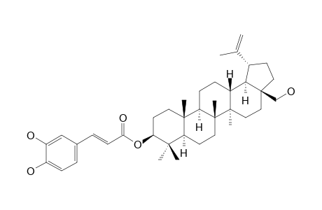 BETULIN-3-BETA-CAFFEATE