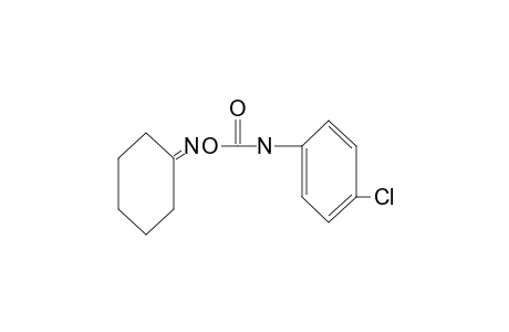 cyclohexanone, O-[(p-chlorophenyl)carbanoyl]oxime