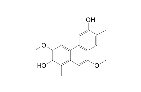 TRIGONOCHINENE_E