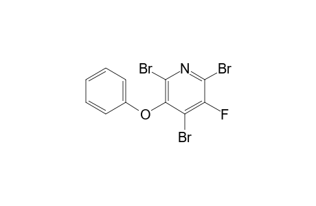 2,4,6-Tribromo-3-fluoro-5-phenoxypyridine