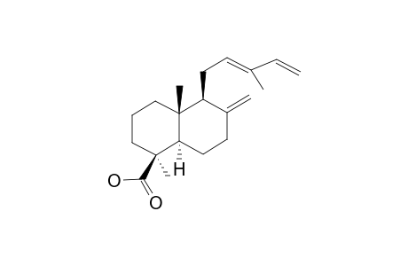 (E)-COMMUNIC-ACID