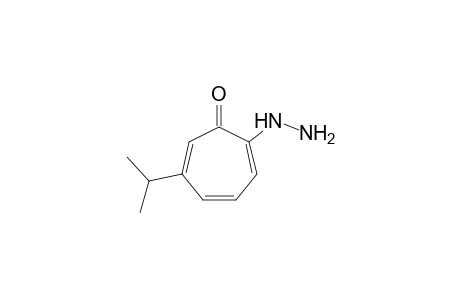 2-hydrazino-6-isopropyl-2,4,6-cycloheptatrien-1-one