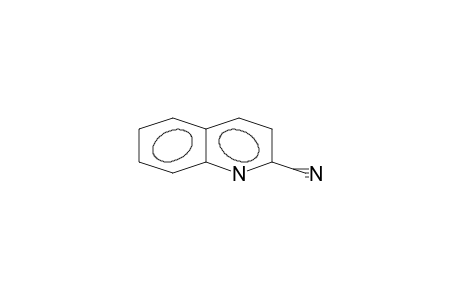 quinaldonitrile