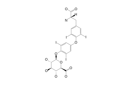 THYROXINE-GLUCURONIDE